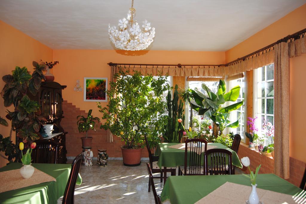 Villa Hedi Panzió Dunakiliti Exterior foto