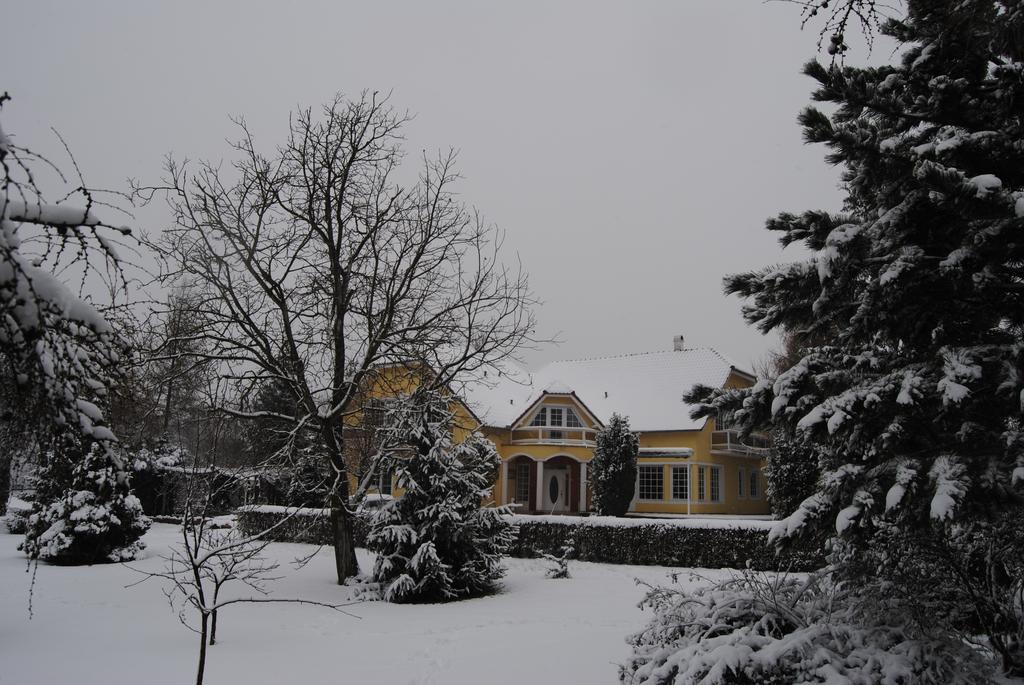 Villa Hedi Panzió Dunakiliti Exterior foto