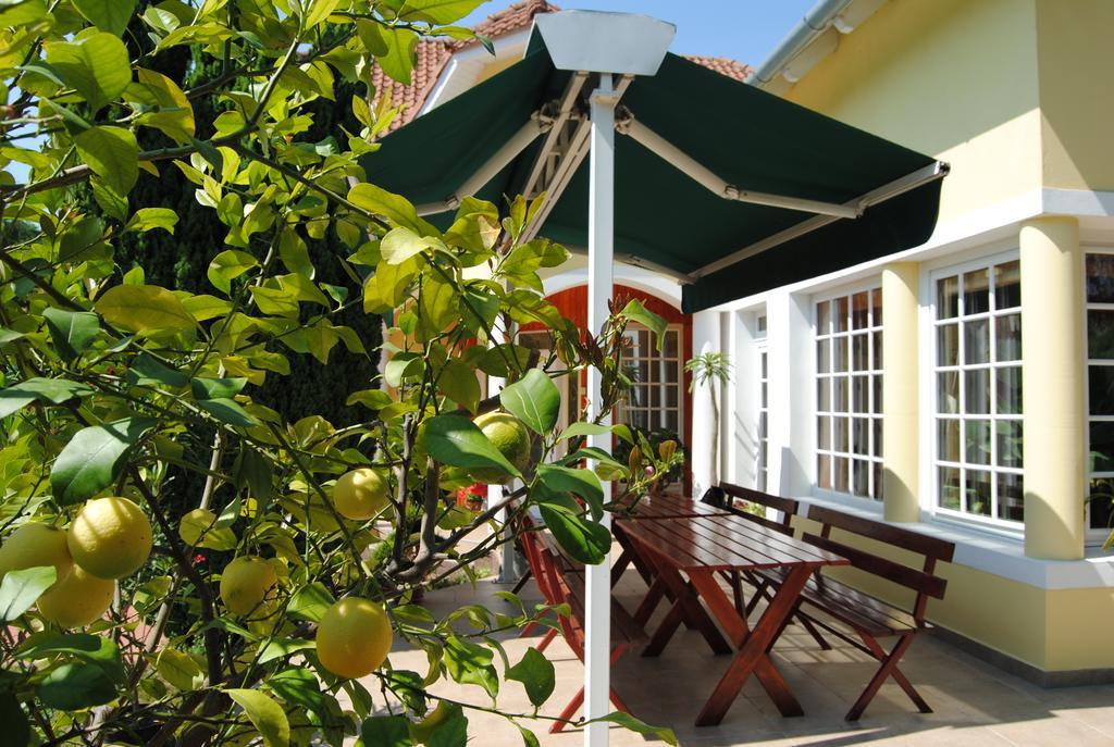 Villa Hedi Panzió Dunakiliti Exterior foto